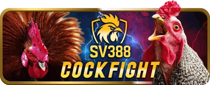 Hỗ trợ qua điện thoại của s88vip chính thức
